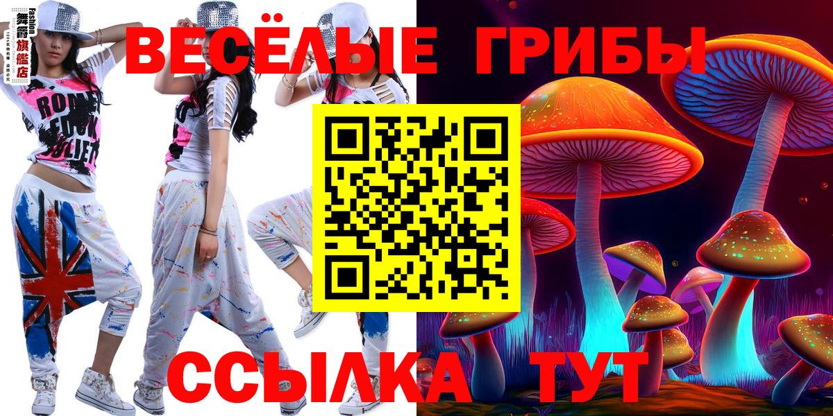 Галлюциногенные грибы Cubensis  Вход с VPN  Малоярославец 