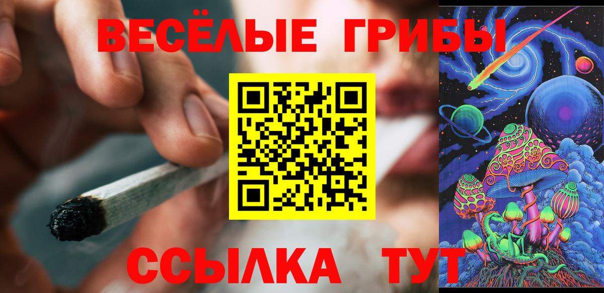 Псилоцибиновые грибы прущие грибы Малоярославец